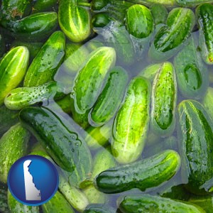 cucumber pickles processed in brine - with Delaware icon