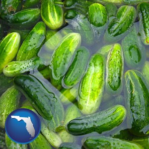 cucumber pickles processed in brine - with Florida icon