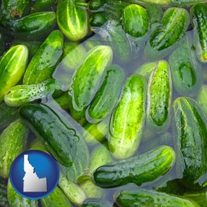 cucumber pickles processed in brine - with Idaho icon