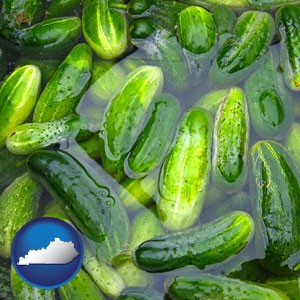 cucumber pickles processed in brine - with Kentucky icon