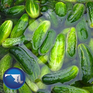 cucumber pickles processed in brine - with Maryland icon