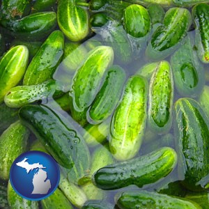 cucumber pickles processed in brine - with Michigan icon