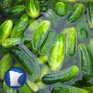 cucumber pickles processed in brine - with Minnesota icon