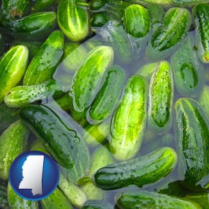cucumber pickles processed in brine - with Mississippi icon