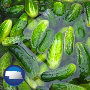 cucumber pickles processed in brine - with Nebraska icon