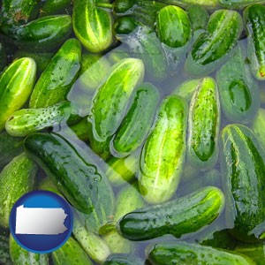cucumber pickles processed in brine - with Pennsylvania icon