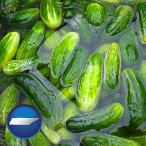 cucumber pickles processed in brine - with Tennessee icon