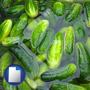 cucumber pickles processed in brine - with Utah icon
