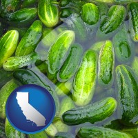 california map icon and cucumber pickles processed in brine
