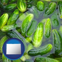 colorado map icon and cucumber pickles processed in brine