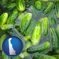 delaware map icon and cucumber pickles processed in brine