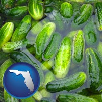 florida map icon and cucumber pickles processed in brine