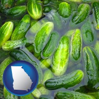 georgia map icon and cucumber pickles processed in brine