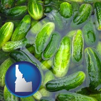 idaho map icon and cucumber pickles processed in brine