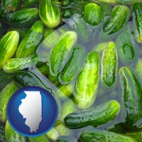 illinois map icon and cucumber pickles processed in brine