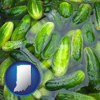 indiana map icon and cucumber pickles processed in brine