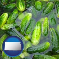 kansas map icon and cucumber pickles processed in brine
