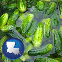 louisiana map icon and cucumber pickles processed in brine