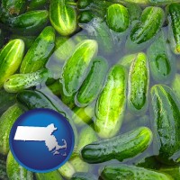 massachusetts map icon and cucumber pickles processed in brine