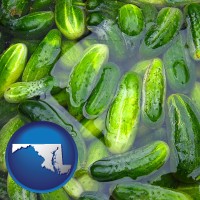 maryland map icon and cucumber pickles processed in brine