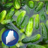 maine map icon and cucumber pickles processed in brine