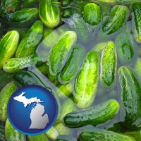 michigan map icon and cucumber pickles processed in brine