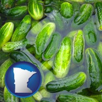 minnesota map icon and cucumber pickles processed in brine