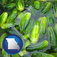 missouri map icon and cucumber pickles processed in brine