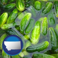 montana map icon and cucumber pickles processed in brine