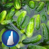 new-hampshire map icon and cucumber pickles processed in brine