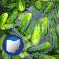 ohio map icon and cucumber pickles processed in brine