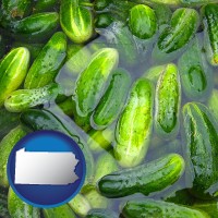 pennsylvania map icon and cucumber pickles processed in brine