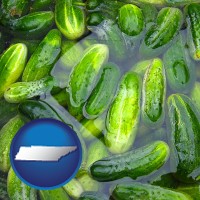 tennessee map icon and cucumber pickles processed in brine