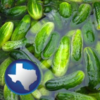texas map icon and cucumber pickles processed in brine