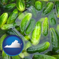virginia map icon and cucumber pickles processed in brine