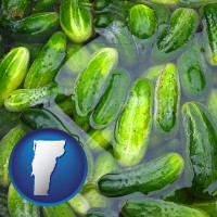 vermont map icon and cucumber pickles processed in brine