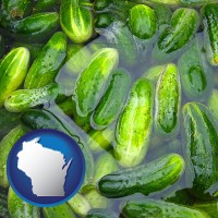 wisconsin map icon and cucumber pickles processed in brine